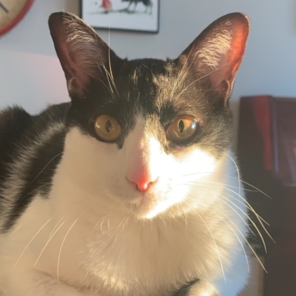 Meet your Posher, Jenna - Picture 1 of 1